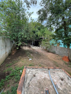 Image 4 - 988581