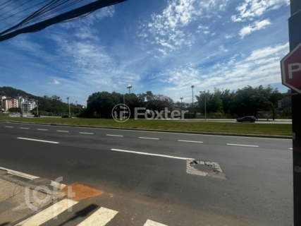 Image 11 - 988761
