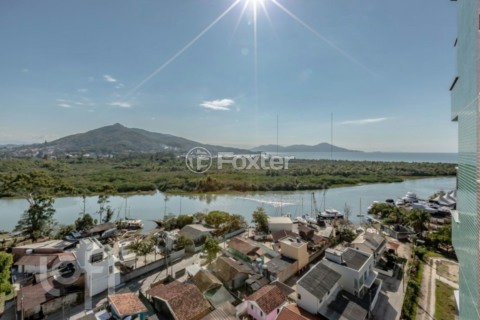 Image 3 - 988966