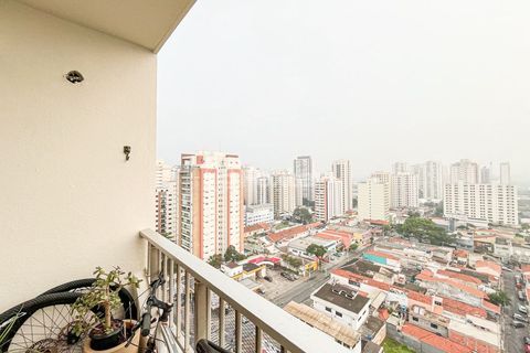 Image 30 - 988977