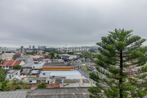 Image 16 - 988986