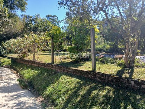 Image 19 - 989404