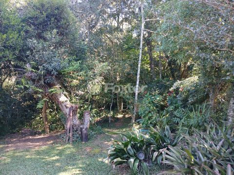 Image 7 - 989404