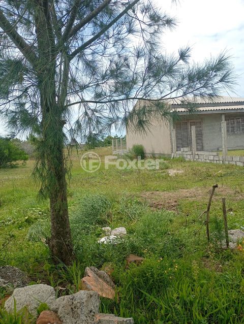 Image 4 - 989534