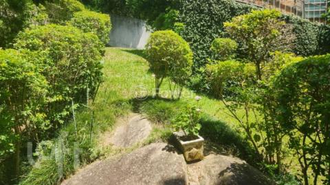 Image 11 - 989719