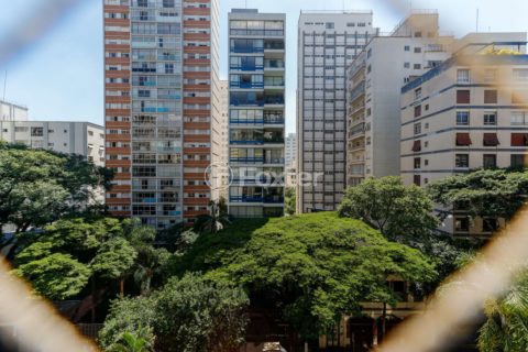 Image 4 - 989787