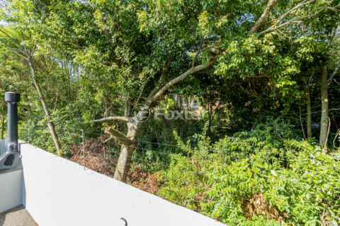 Image 11 - 989869