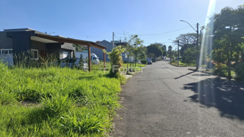 Image 3 - 989977