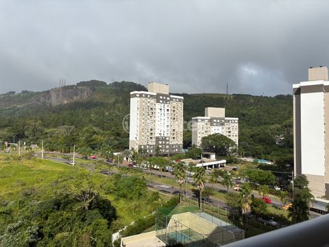 Image 9 - 990166