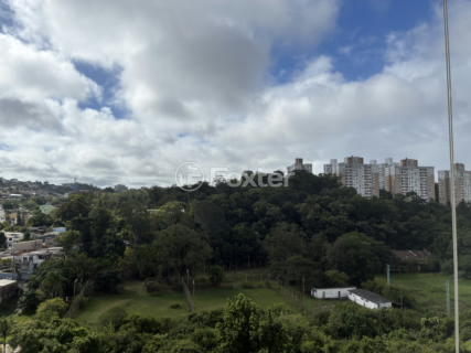 Image 7 - 990166