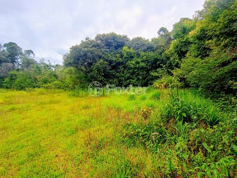Image 4 - 990368