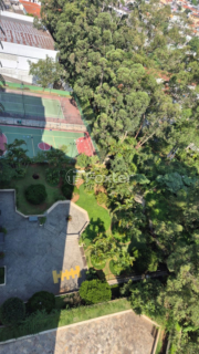 Image 17 - 990445