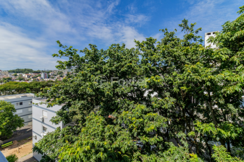 Image 9 - 990534