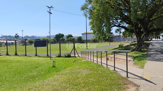 Image 14 - 990799