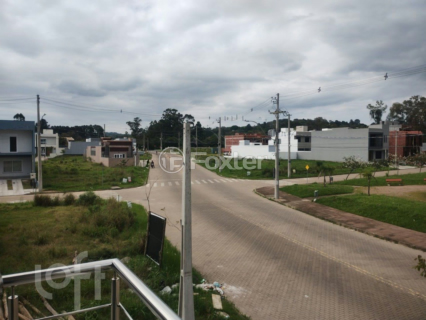 Image 14 - 991011