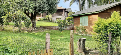 Image 33 - 991521