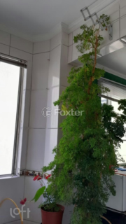 Image 8 - 991818