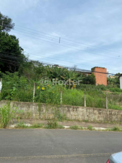 Image 6 - 992164