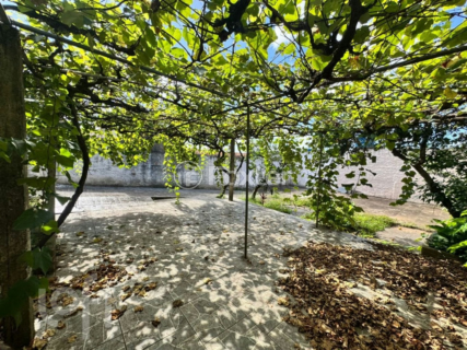 Image 36 - 992299