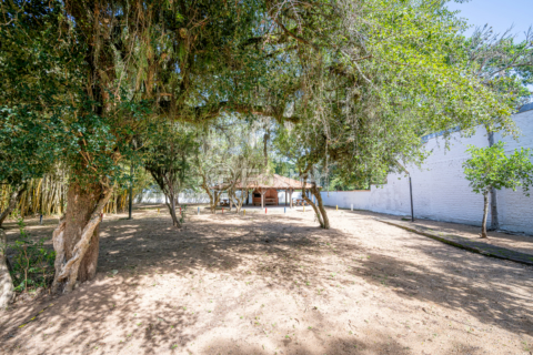 Image 68 - 992417
