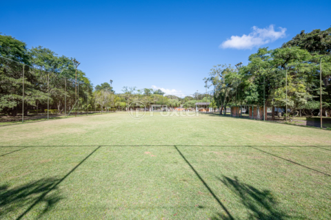 Image 7 - 992417