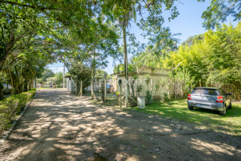 Image 39 - 992417