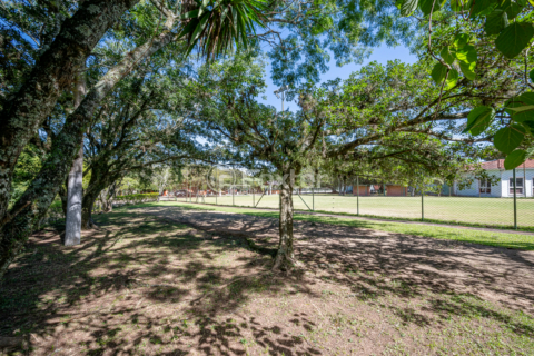 Image 6 - 992417