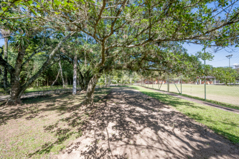 Image 10 - 992417