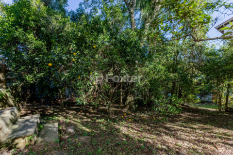 Image 64 - 992501