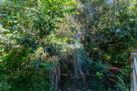 Image 63 - 992501
