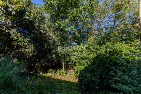 Image 70 - 992501