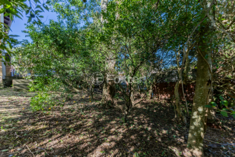 Image 65 - 992501