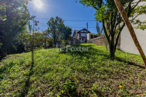 Image 61 - 992501