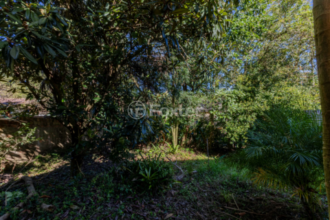 Image 69 - 992501