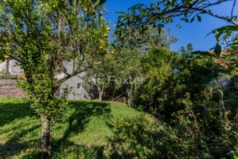 Image 82 - 992501