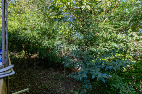 Image 62 - 992501