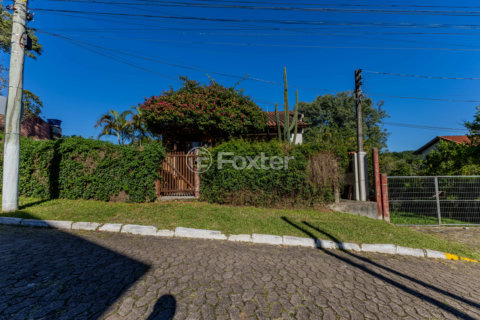 Image 86 - 992501