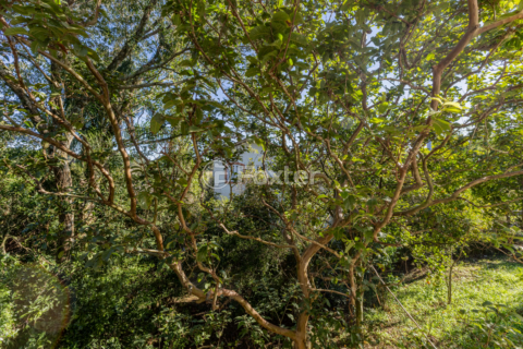 Image 17 - 992501