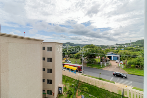Image 11 - 992661