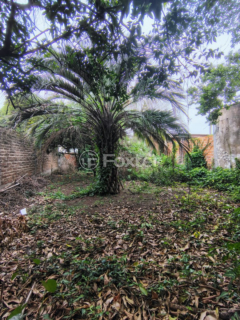 Image 3 - 992744