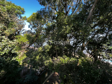 Image 4 - 992906