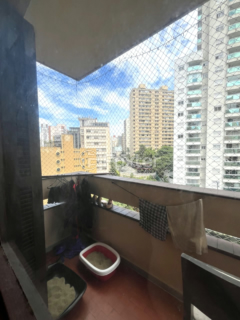 Image 3 - 993188