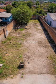 Image 4 - 993319