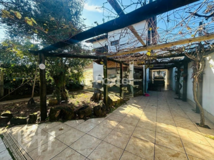 Image 36 - 993419