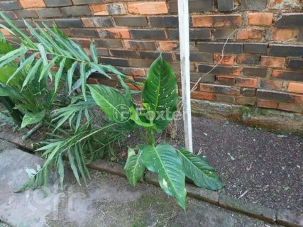 Image 8 - 993941