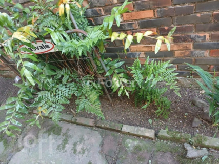 Image 9 - 993941