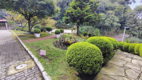 Image 4 - 993945