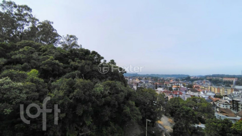 Image 17 - 993945