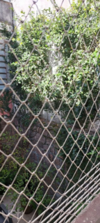 Image 7 - 994979