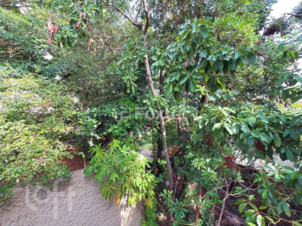 Image 20 - 995018